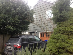 Heidi Rose's ADU has cedar shingles to match the main house